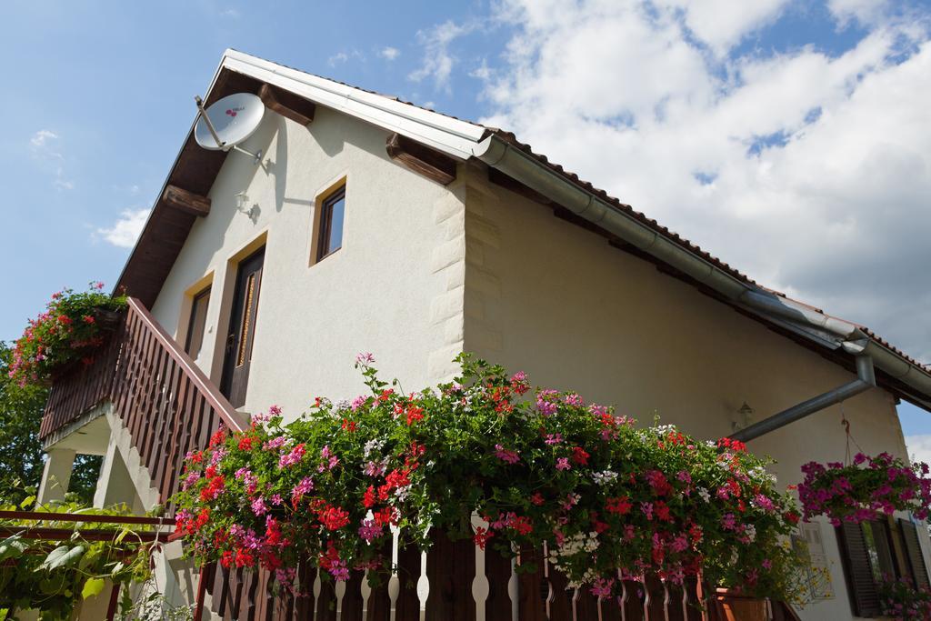 Apartment Ines Smoljanac Bagian luar foto
